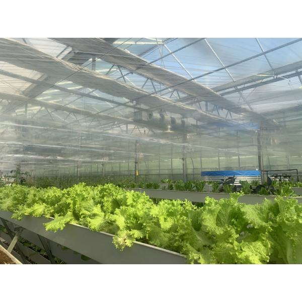 Многопролетная гидропоническая тепличная система для производства и коммерческих экспериментов