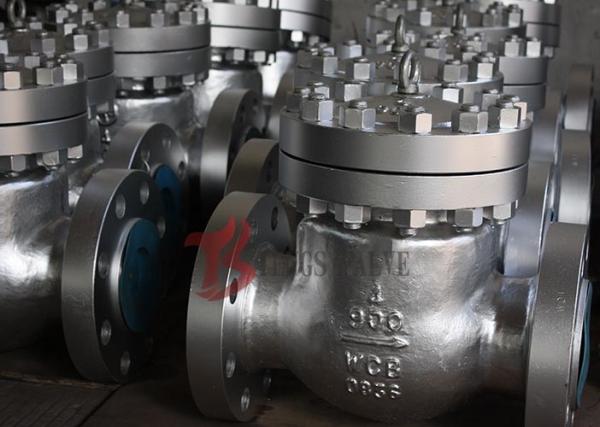 2 Inch - 36 Inch Metal Seated Check Valve H44 API 6D Work Automatically