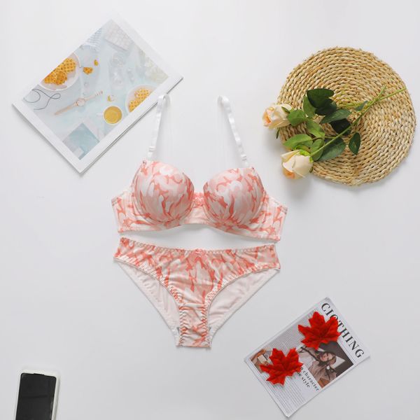 Women Underwear Lingerie Set High Quality Hot Selling Printing Underwire Panty and Bra Set for Ladies