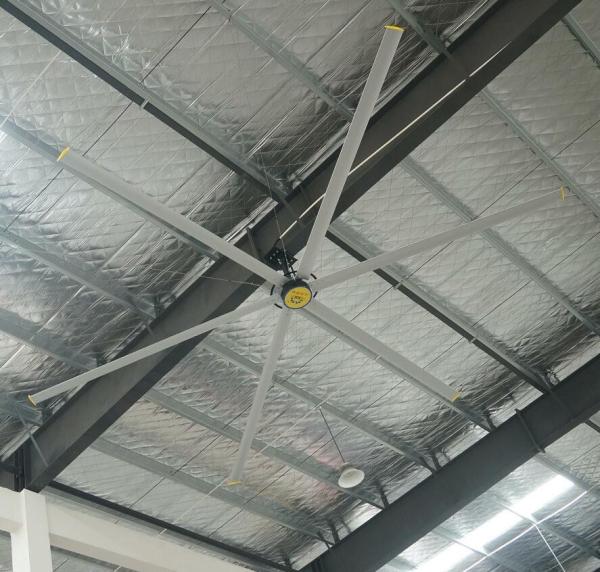 Fabricante de ventiladores de teto gigantes de 24 pés