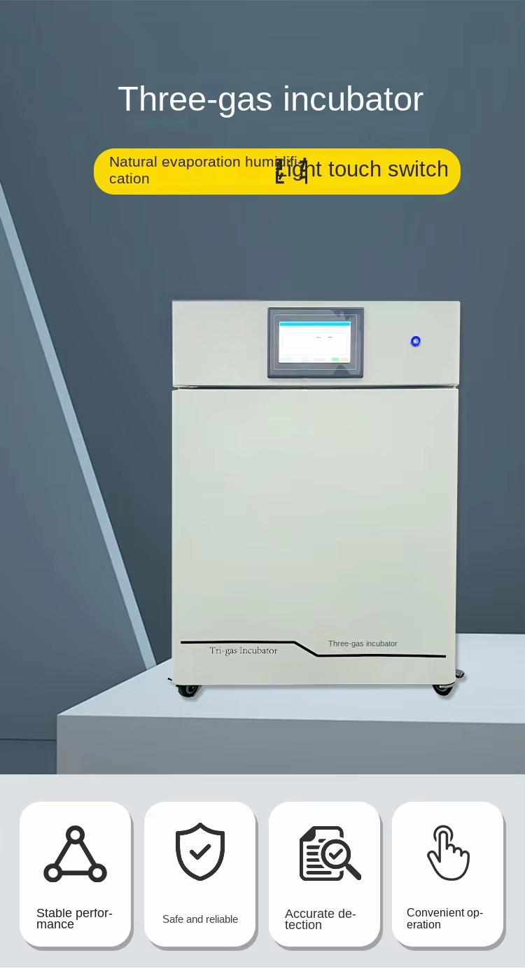 Three-gas Hypoxia Incubator with Constant Temperature 0.2 Fluctuation for Cell Culture