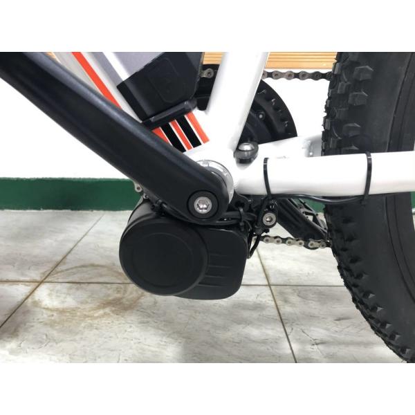 29 Inch E Mountain Bike Rear Hub Motor Black 36v 300w 15Ah Rich Bit Top 880