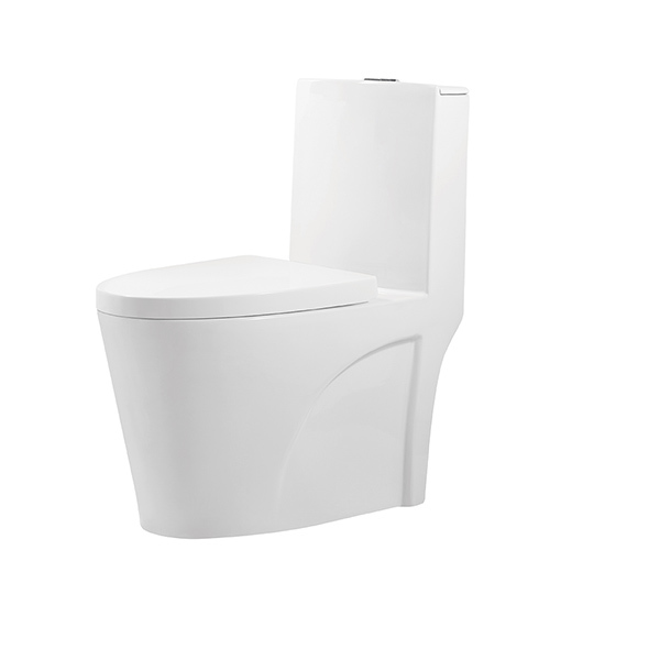 Rimless One Piece Toilets 400x680x780mm P Trap WC White Orin OR8237