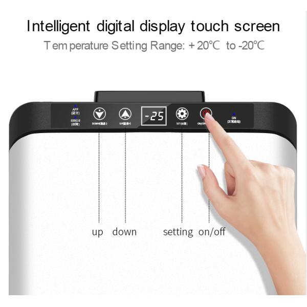 PAHS располагаясь лагерем 20L удваивают холодильник автомобиля комнаты малошумный