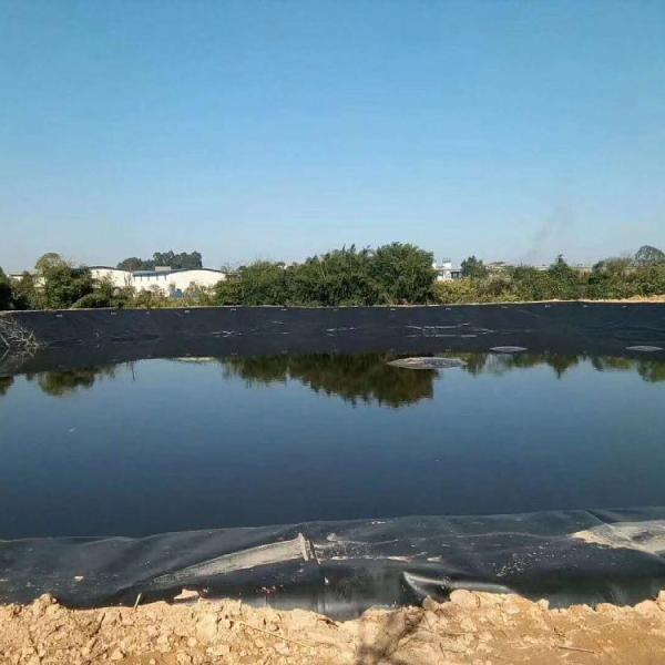 HDPE Black Fish Farm Pond Fish Liner Plastic Geomembrane High Surface Hardness