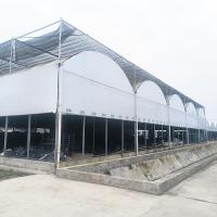 Hot Galvanized Steel Pipe Nursery Multi-span Panda Film Blackout System Mushroom Tropical Greenhouse