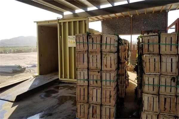 double machine de réfgigération sous vide de palettes de la chambre 6 du cycle 3tons, refroidisseur de refroidissement rapide de Vacoom