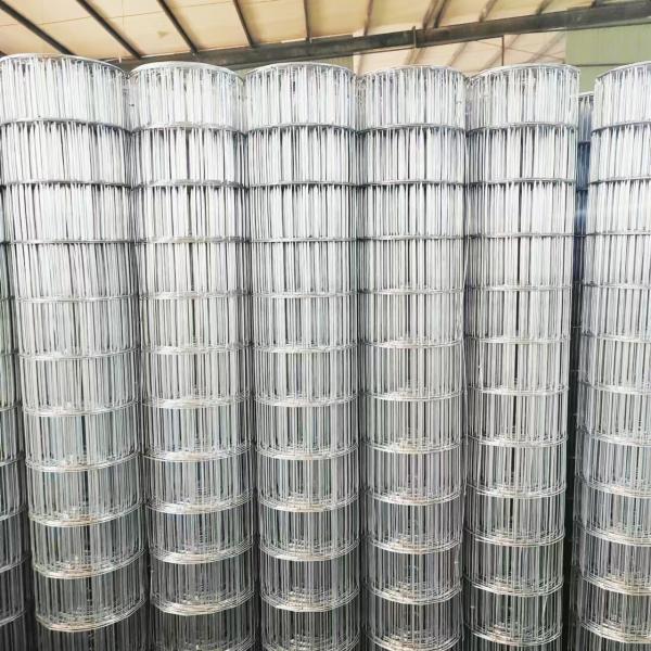 Electric Galvanized  Roll type Welded Wire Mesh Square hole Rectangle hole