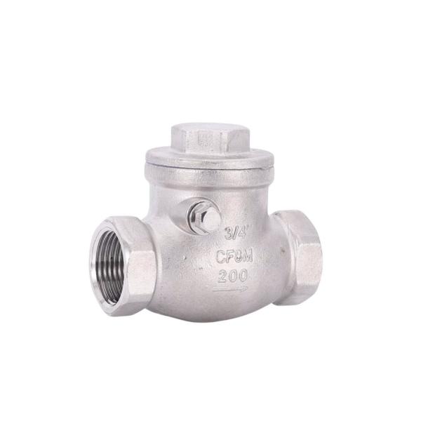 30 дней Возврат Frtnvlve инвестиции литье нержавеющей стали 200 Пси Swing Check Valve