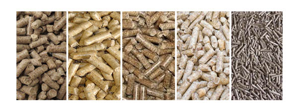 DEXI Wood Pellet Manufacturing Equipment XGJ850 3000kgs/H