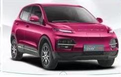 5 Seats BG2 Suv Electric Car 3695*1685*1595 Vented Disc