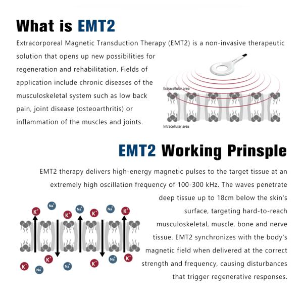 Magnetic Physiotherapy Pemf Infrared Therapy Device PEMF Pulsed Magnetic Field