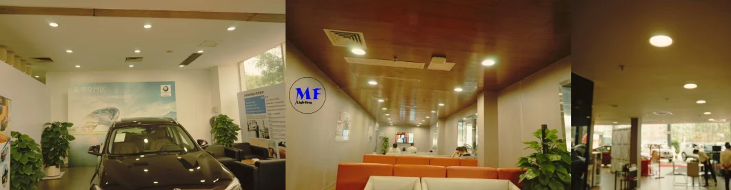 Внутреннее освещение с отражателем 7 Вт 12 Вт 20 Вт 2 дюйма 3 дюйма 4 дюйма