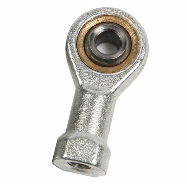 Правый женский нержавеющая сталь с концами подшипника бронзовая гонка низкоуглеродистая стальная корпус