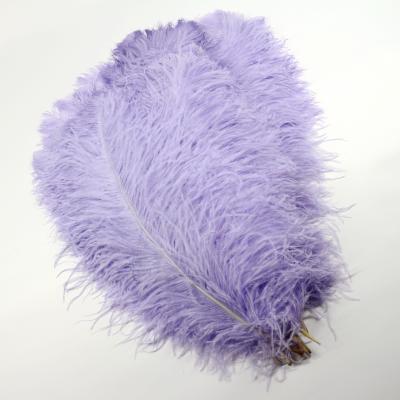 Trajes de Carnaval Decoração de milhares Pena de avestruz Plumas de avestruz Multicolor
