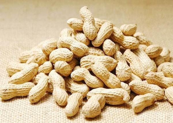 Blanched Processing Roasted Seeds And Nuts Fried Peanut Kernel For Food