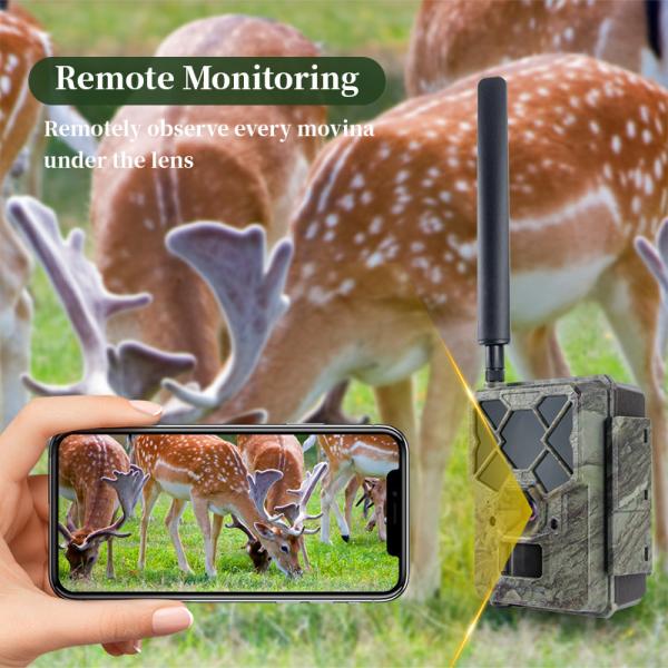 Caméra de chasse 4G télécommandée KW886 avec capacité vidéo 1080p et portée nocturne de 120 pieds