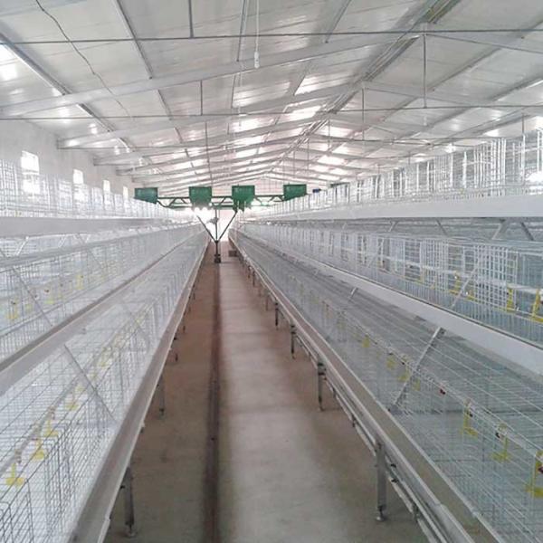 4 fio estirado a frio da gaiola Q235 da galinha de grelha das portas das séries 8 que solda a grande elasticidade