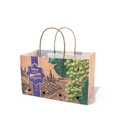 Sacos de papel sustentáveis de Kraft com os punhos torcidos para o fruto da uva