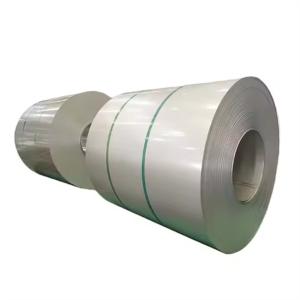 Couleurs prépeintes en acier inoxydable AISI 304 0,4 mm-1,2 mm