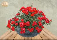 Weathered Plant Pots Garden Flower Pots Clay Pot Planters Fiberclay Outdoor Planters Gray Color