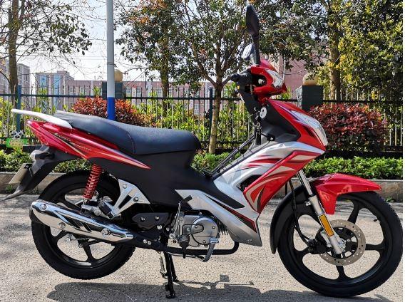 High Performance Adult Dirt Bike 110cc Electric Starting System Red Color