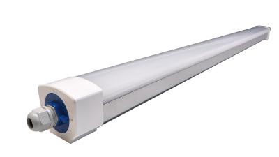 ETL DLC 140lm Led Triproof Light Impact Resistant 2ft-5ft Silver Colour Body