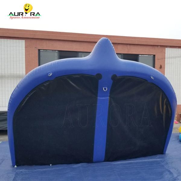 Inflatable Flying Manta Ray Tube PVC Tarpaulin 2 Person Towable Water Sports