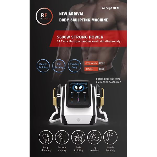 Desktop EMS Muscle Sculpting Machine , Compact RF Body Contouring Device For Beauty Studios