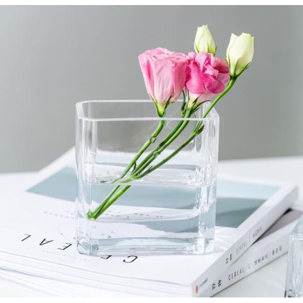 Hand Blown Home Decoration Glass 4 Inch Height Mini Rectangular Clear Glass Vase