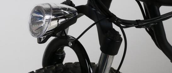 21 Speed Gear 350w 26 Inch Electric Fat Bike