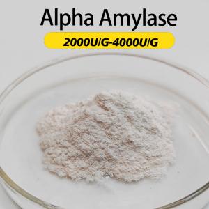 4000U/G poudre d'enzyme alpha amylase comme entièrement soluble dans l'eau ordre
