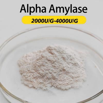 4000U/G poudre d'enzyme alpha amylase comme entièrement soluble dans l'eau ordre minimum 1 kg