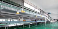 Sanitary Accumulation Air Bottle Conveyor System Stainless Steel ANSI304