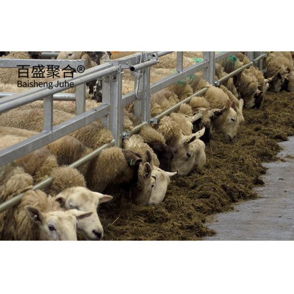 Estrutura de aço leve padrão ASTM Casa de cabra projetada pré-fabricada Fazenda Ovelha Cabra Casas de aço