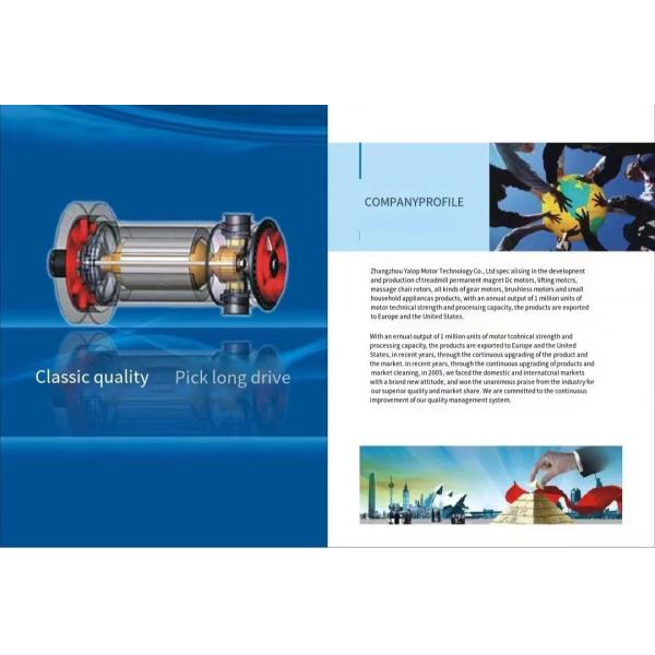 Permanent Magnet Construction 5kw Brushless DC Motor for Electric Motorbike