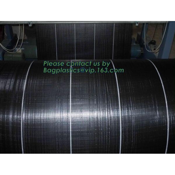 Garden tomato green house greenhouse film 3 layer eva agriculture clear plastic protective 90% transmission green house,