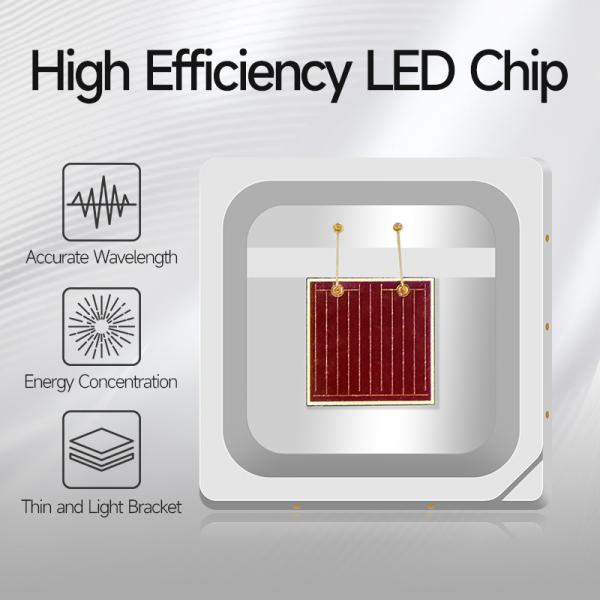 SMD LED 3030 Deep Red 660-665NM LED CHIP 2V 15-20LM SMD Beauty Mask LED