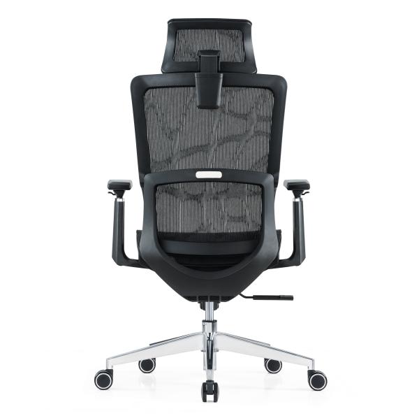 Lumbar Support Full Mesh Luxury Mesh With Headrest Adjustable Fabric Comfort Office Ergonomic Chair