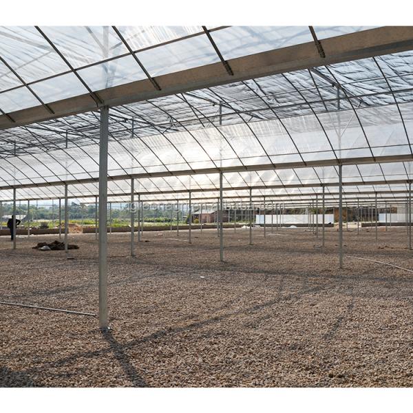 IGreen Industrial Greenhouse Irrigation System Greenhouse For Snail Farming