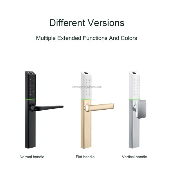 Wifi Remote Ttlock Fingerprint Ultra-slim Aluminum Tuya Sliding Door Smart Locks Digital Slim Smart Lock With App Unlock