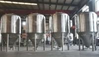 Réservoir sous pression de peau de double du fermenteur 500L de la bière SS304