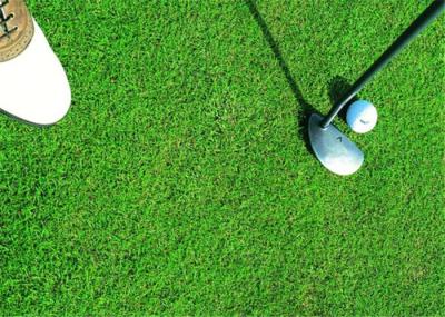 Grama artificial do golfe saudável, expectativa sintética da longa vida do relvado do golfe