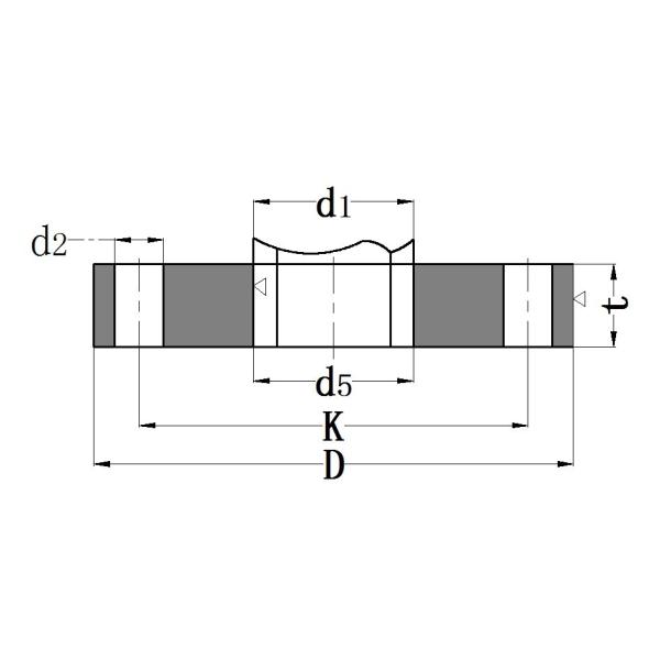 DIN 2573 Raised Face Slip On Flanges Carbon Steel PN 6 ASTM A105 SORF Flanges for Industrial Applications