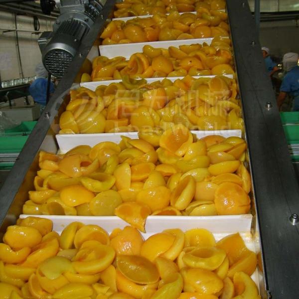 Vertical Vegetable Fruit Incline Flat PVC White Conveyor Belt System For Food Industry