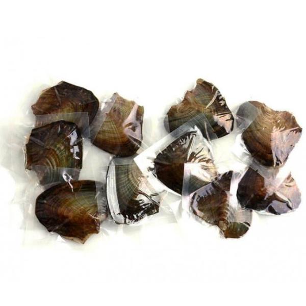 AAA grade,Vacumm packed Freshwater Cultured pearl Oysters with White/Gold/Purple/black/pink,6-7mm,7-8mm