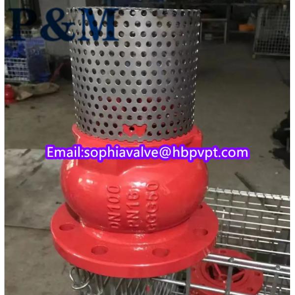 dn100 pn16 GGG50 foot valve stainless steel screen