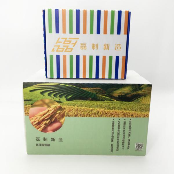 Foldable Corrugated Plastic Storage Boxes For Grain Agricultural Product