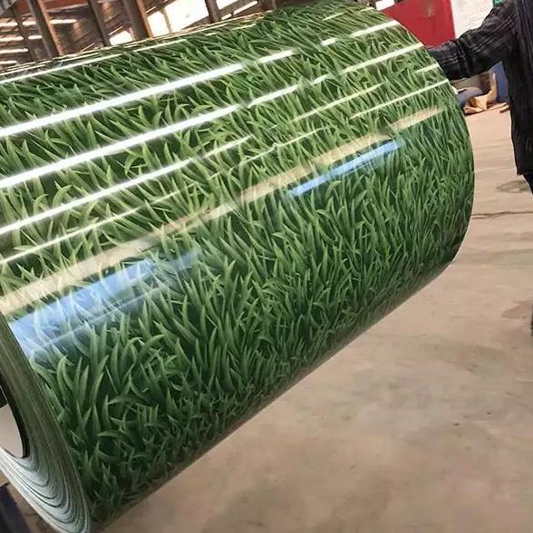 ASTM Galvanized Steel Sheet In Coils Zinc Coated Hot Dipped PPGI 0.2mm