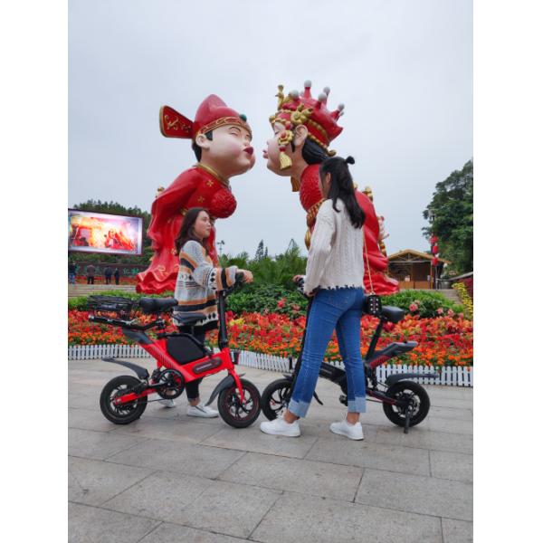 Energy Saving Electric Folding Bike Lightweight Bicycle Travel Capacity 40±5KM